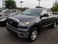 2010 Slate Gray Metallic Toyota Tundra Double Cab 4x4  photo #3