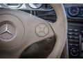 Cashmere Controls Photo for 2010 Mercedes-Benz CLS #85052002