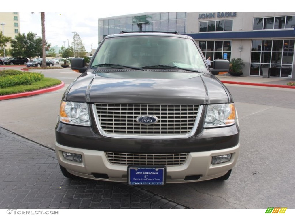 2005 Expedition Eddie Bauer - Dark Stone Metallic / Medium Parchment photo #3