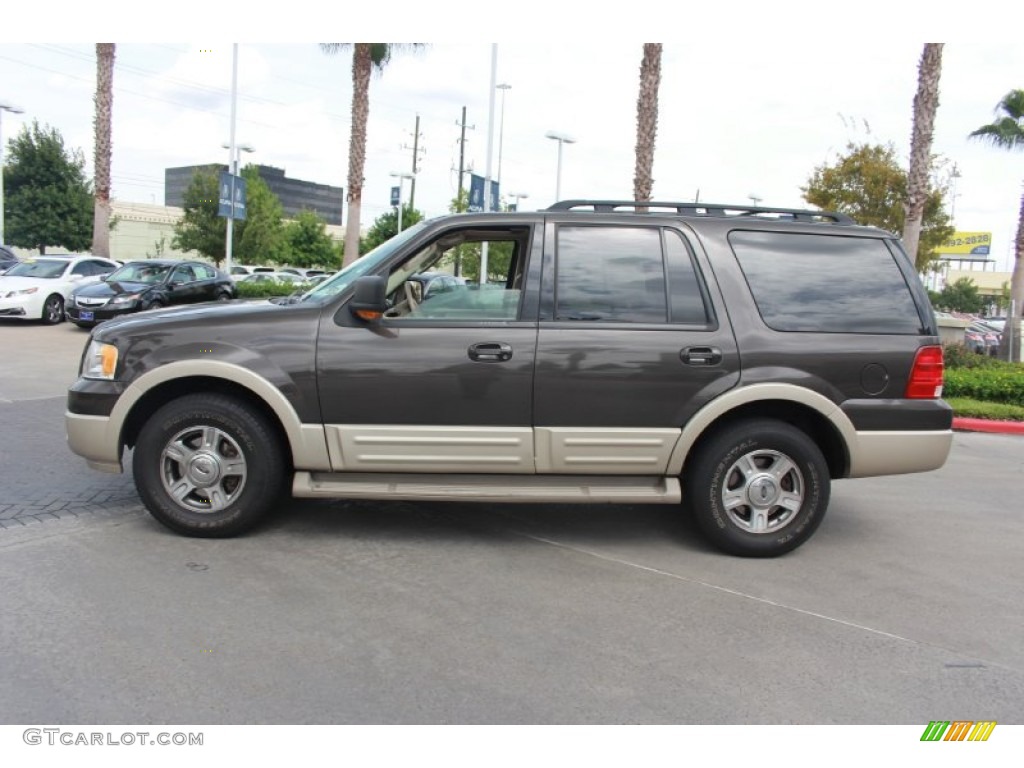 2005 Expedition Eddie Bauer - Dark Stone Metallic / Medium Parchment photo #5