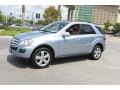 Alpine Rain Metallic 2010 Mercedes-Benz ML 350 Exterior