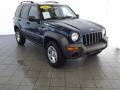 Patriot Blue Pearl 2004 Jeep Liberty Gallery