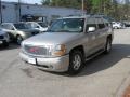 2005 Silver Birch Metallic GMC Yukon Denali AWD  photo #5