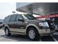 Stone Green Metallic 2008 Ford Expedition King Ranch 4x4 Exterior