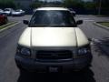 Sierra Gold Metallic - Forester 2.5 XS Photo No. 2