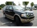 2013 Tuxedo Black Ford Expedition XLT 4x4  photo #3