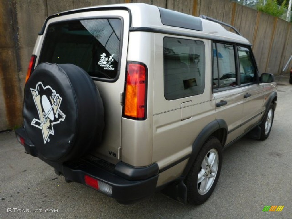 2003 Discovery SE - White Gold / Alpaca Beige photo #2