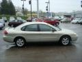 2005 Gold Ash Metallic Ford Taurus SE  photo #5