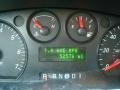 2005 Gold Ash Metallic Ford Taurus SE  photo #20