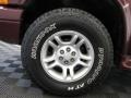 2001 Dodge Durango SLT 4x4 Wheel and Tire Photo