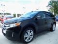 2013 Tuxedo Black Metallic Ford Edge Limited  photo #1