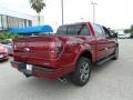2013 Ruby Red Metallic Ford F150 FX2 SuperCrew  photo #5