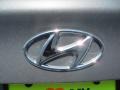 Titanium Gray Metallic - Elantra GLS Photo No. 13