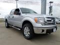 Ingot Silver Metallic - F150 XLT SuperCrew 4x4 Photo No. 6