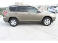 Sandy Beach Metallic - RAV4 I4 Photo No. 11
