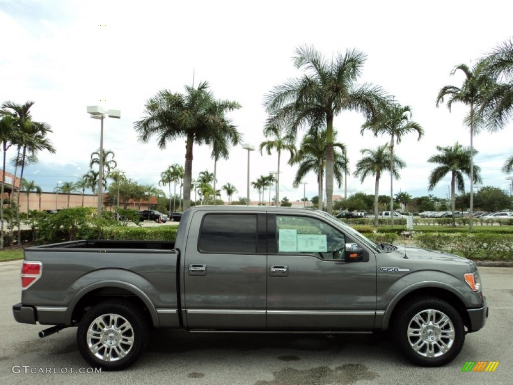 Sterling Grey Metallic 2010 Ford F150 Platinum SuperCrew Exterior Photo #85101215