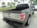 2010 Sterling Grey Metallic Ford F150 Platinum SuperCrew  photo #6