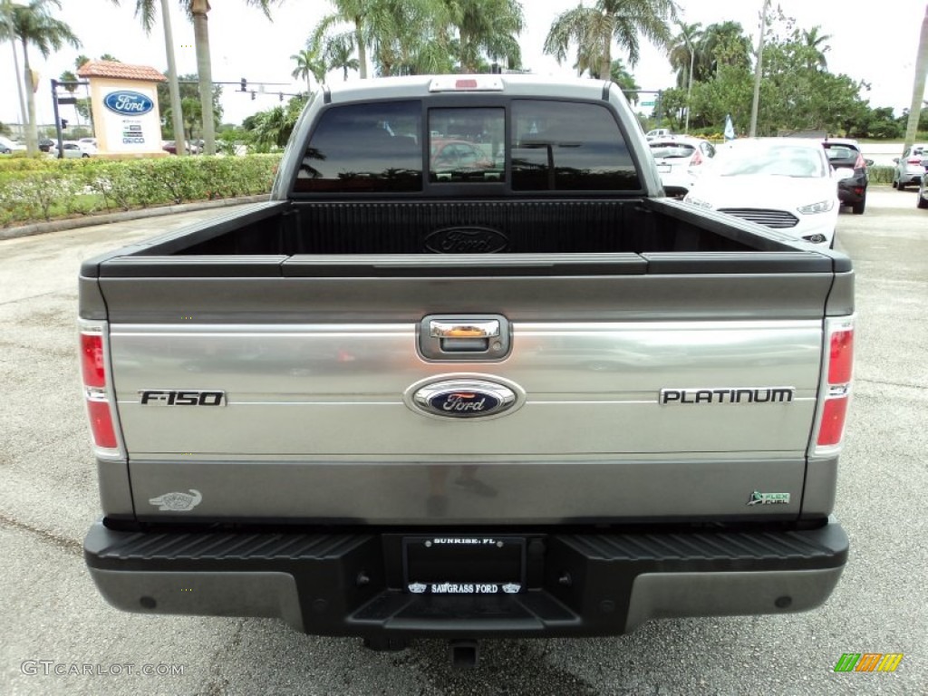 2010 F150 Platinum SuperCrew - Sterling Grey Metallic / Sienna Brown Leather/Black photo #7