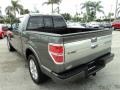 2010 Sterling Grey Metallic Ford F150 Platinum SuperCrew  photo #9