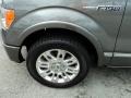 Sterling Grey Metallic - F150 Platinum SuperCrew Photo No. 11