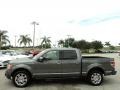 2010 Sterling Grey Metallic Ford F150 Platinum SuperCrew  photo #12