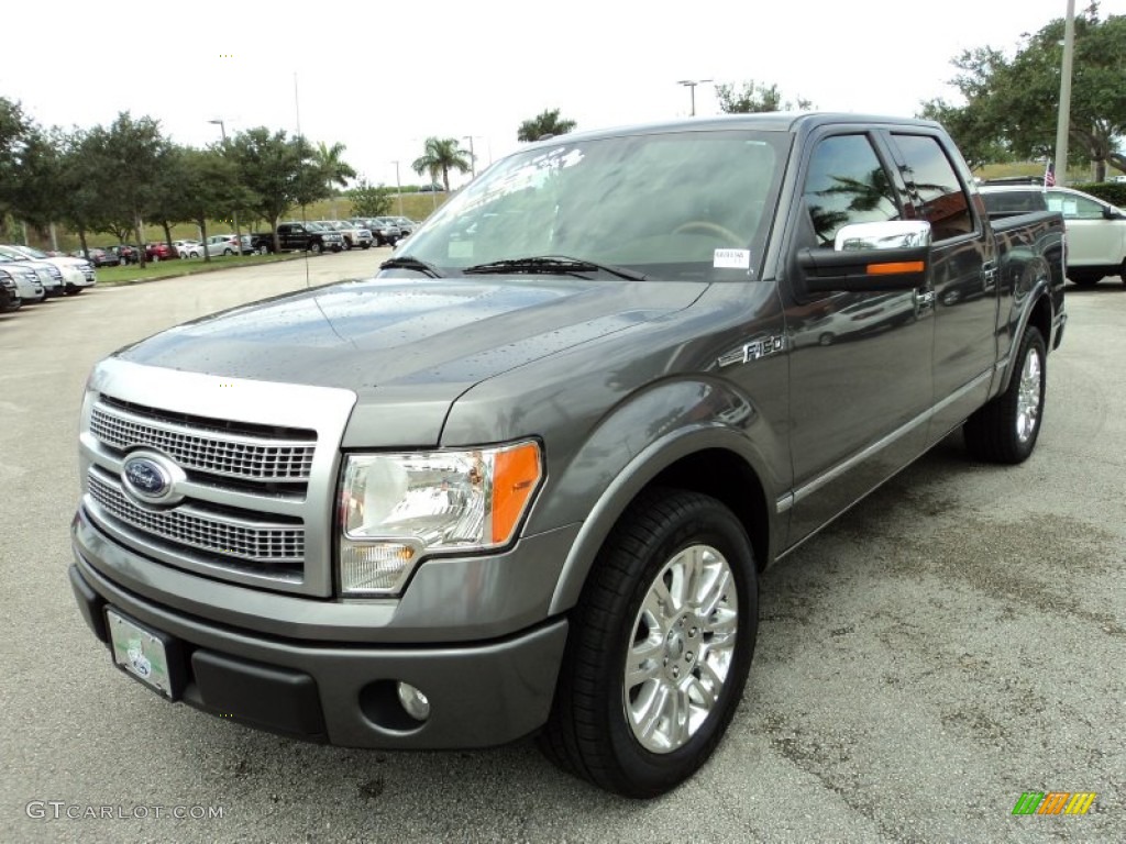 2010 Ford F150 Platinum SuperCrew Exterior Photos