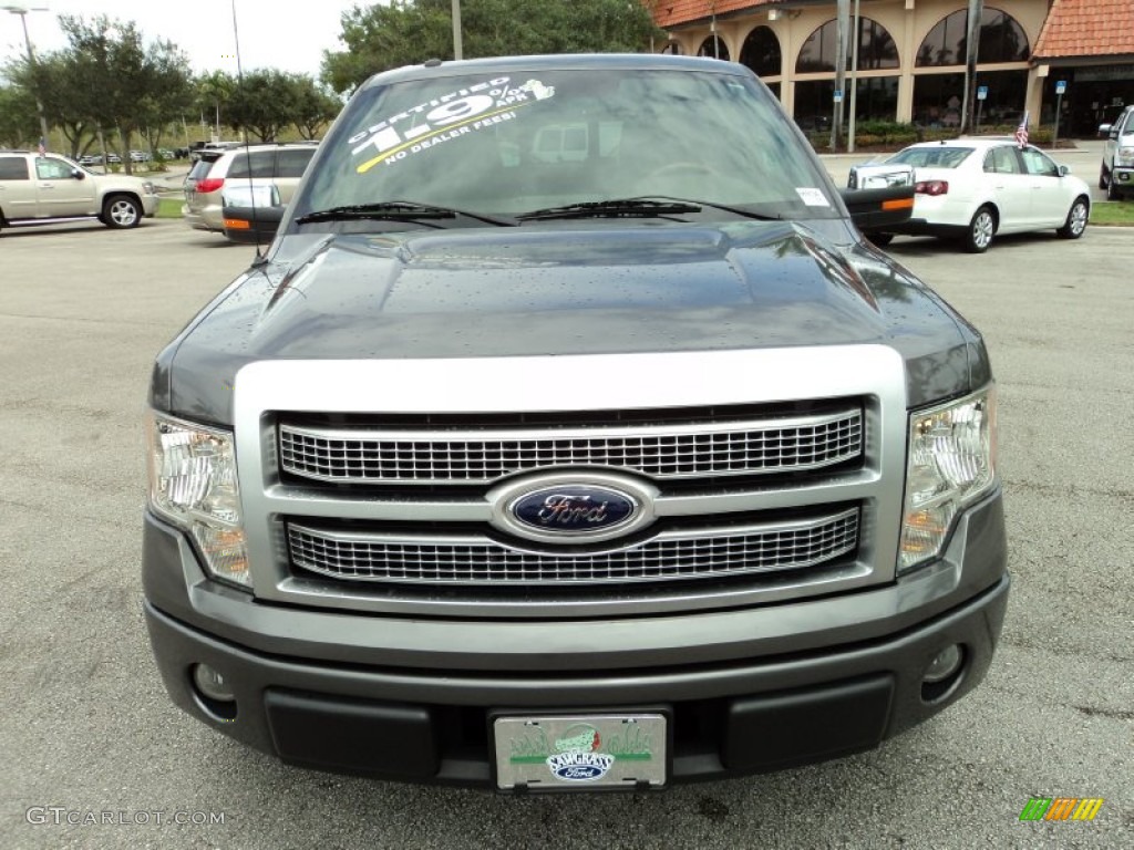 2010 F150 Platinum SuperCrew - Sterling Grey Metallic / Sienna Brown Leather/Black photo #15