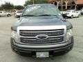 2010 Sterling Grey Metallic Ford F150 Platinum SuperCrew  photo #15