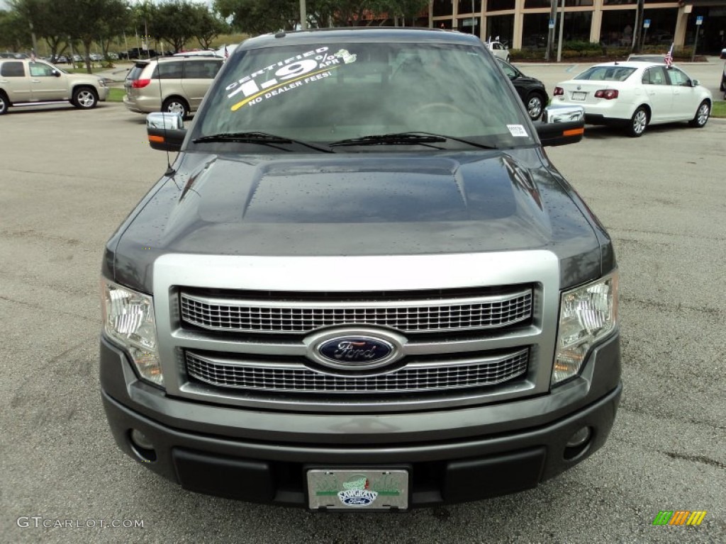 2010 F150 Platinum SuperCrew - Sterling Grey Metallic / Sienna Brown Leather/Black photo #16