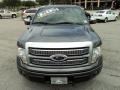 Sterling Grey Metallic - F150 Platinum SuperCrew Photo No. 16