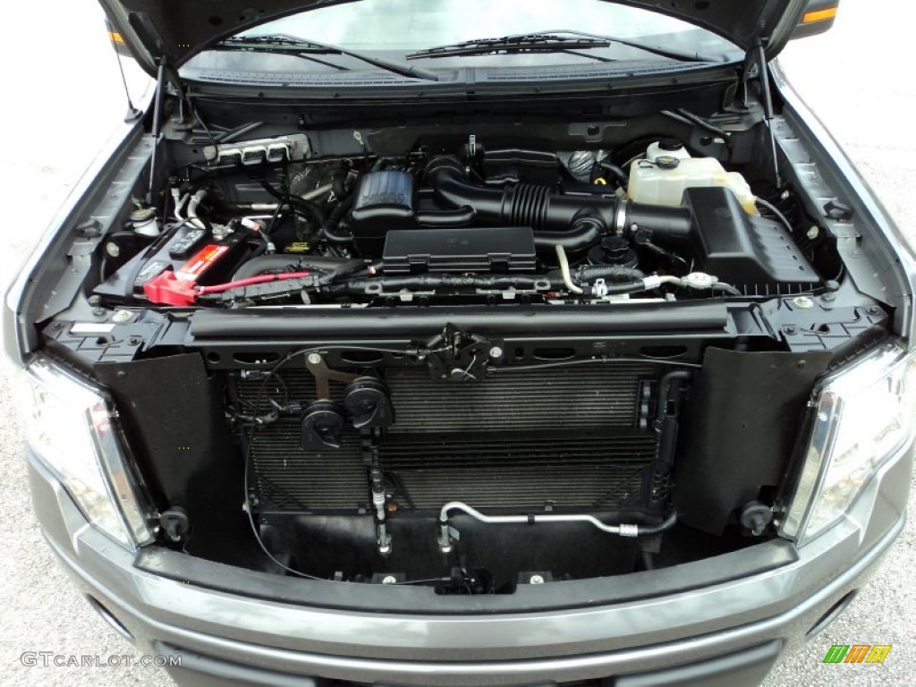 2010 Ford F150 Platinum SuperCrew 5.4 Liter Flex-Fuel SOHC 24-Valve VVT Triton V8 Engine Photo #85101944