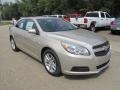 Champagne Silver Metallic - Malibu LT Photo No. 9