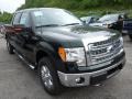 2013 Green Gem Metallic Ford F150 XLT SuperCrew 4x4  photo #1