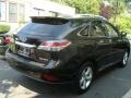 Stargazer Black - RX 350 AWD Photo No. 4