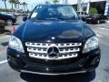 Black - ML 350 4Matic Photo No. 2