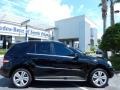 Black - ML 350 4Matic Photo No. 8