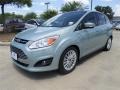 Ice Storm 2013 Ford C-Max Energi