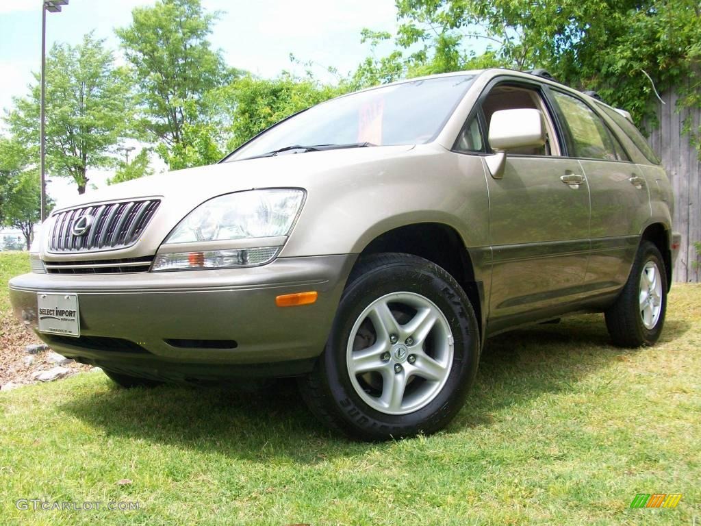 2001 RX 300 AWD - Burnished Gold Metallic / Ivory photo #3