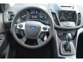 2014 Ingot Silver Ford Escape SE 1.6L EcoBoost  photo #10