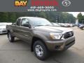 Pyrite Mica 2013 Toyota Tacoma Access Cab 4x4