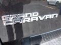 2013 Brilliant Black Crystal Pearl Dodge Grand Caravan SXT  photo #10