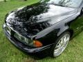 2003 Jet Black BMW 5 Series 530i Sedan  photo #40