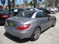 Paladium Silver Metallic - SLK 250 Roadster Photo No. 2