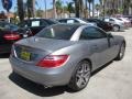 2013 Paladium Silver Metallic Mercedes-Benz SLK 250 Roadster  photo #2