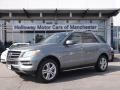 Palladium Silver Metallic - ML 350 4Matic Photo No. 1