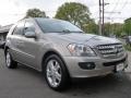 Pewter Metallic - ML 500 4Matic Photo No. 2