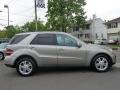 Pewter Metallic - ML 500 4Matic Photo No. 8