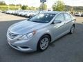 Radiant Silver - Sonata GLS Photo No. 3