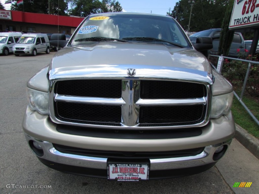 2004 Ram 1500 ST Regular Cab - Light Almond Pearl / Dark Slate Gray photo #12