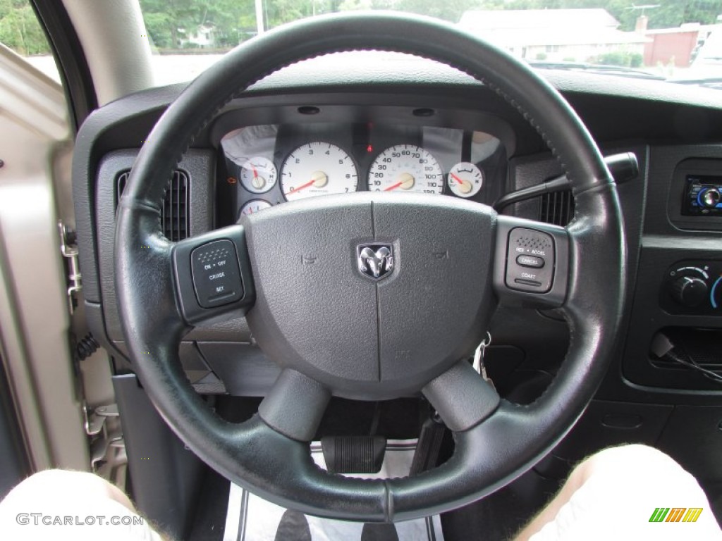2004 Ram 1500 ST Regular Cab - Light Almond Pearl / Dark Slate Gray photo #21